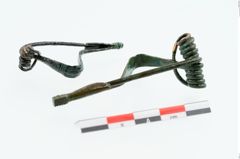 Foto von Bronzepaukenfibel (NHMW-PRAE-025974)